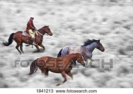 Stock Image - Man riding horse. Fotosearch