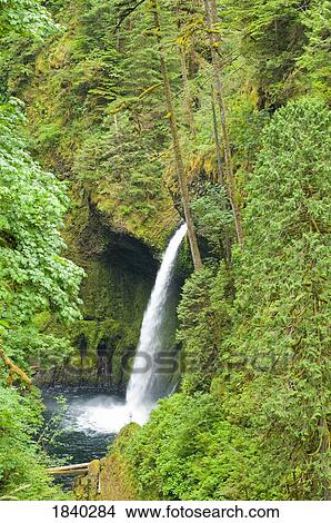 Metlako Falls, Columbia River Gorge, Oregon, USA View Large Photo Image Picture - Metlako Falls, Columbia River Gorge, Oregon, USA. Fotosearch