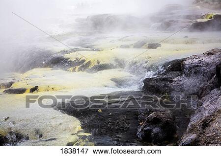 Stock Photo - Mineral springs, Rotorua, New Zealand. Fotosearch