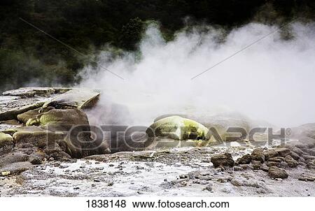 Mineral springs, Rotorua, New Zealand View Large Photo Image Stock Photo - Mineral springs, Rotorua, New Zealand. Fotosearch