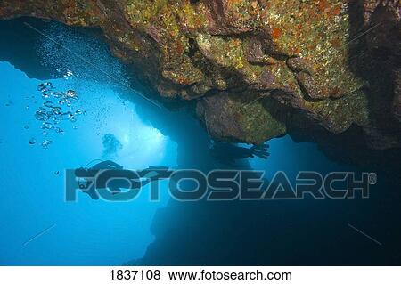 Molokini, Maui, Hawaii, USA; Scuba diver at a volcanic crater View Large Photo Image Stock Photo - Molokini, Maui, Hawaii, USA; Scuba diver at a volcanic crater. Fotosearch