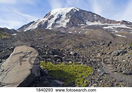 Stock Image - Mount Adams and lava, Mount Adams Wilderness, Washington, USA . Fotosearch