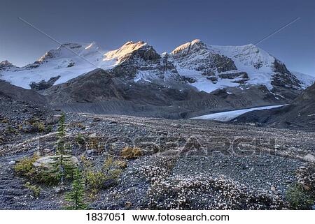 Mount Athabasca, Mount Andromeda, Columbia Icefield, Jasper National Park, Canada View Large Photo Image Stock Image - Mount Athabasca, Mount Andromeda, Columbia Icefield, Jasper National Park, Canada . Fotosearch