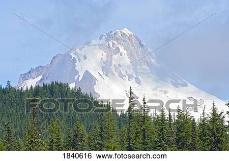 Stock Photograph - Mount Hood, Mount Hood National Forest, Oregon, USA. Fotosearch