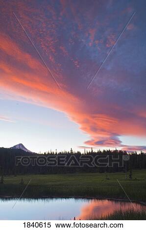 Stock Photography - Mount Hood National Forest, Oregon, USA; Bonney Meadows. Fotosearch