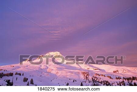 Mount Hood, Oregon, USA; sunset View Large Photo Image Stock Photography - Mount Hood, Oregon, USA; sunset. Fotosearch