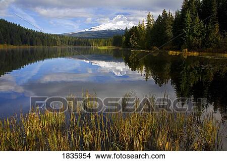 Mount Hood, Trillium Lake, Oregon cascades, USA View Large Photo Image Picture - Mount Hood, Trillium Lake, Oregon cascades, USA. Fotosearch