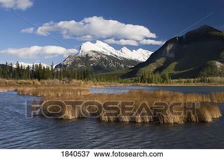 Mount Rundle, Banff National Park, Alberta, Canada View Large Photo Image Stock Photo - Mount Rundle, Banff National Park, Alberta, Canada . Fotosearch