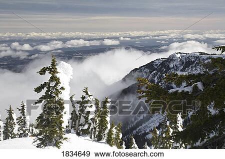 Stock Photo - Mount Washington Alpine Ski Resort, Vancouver Island, BC. Fotosearch