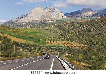 Mountain view in the Axarquia region near Colmenar, Malaga Province, Spain View Large Photo Image Picture - Mountain view in the Axarquia region near Colmenar, Malaga Province, Spain. Fotosearch