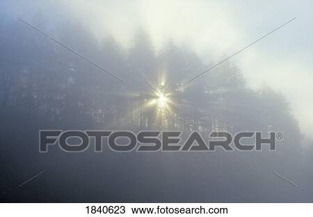Stock Image - Mt. Tabor, Portland, Oregon, USA . Fotosearch