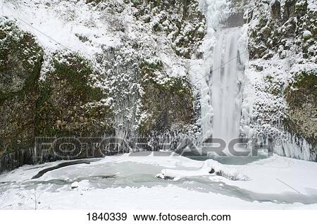 Multnomah Falls in winter, Columbia River Gorge, Oregon, USA View Large Photo Image Stock Photo - Multnomah Falls in winter, Columbia River Gorge, Oregon, USA . Fotosearch