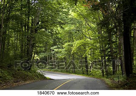 Muskoka, Ontario, Canada; Rural road View Large Photo Image Stock Image - Muskoka, Ontario, Canada; Rural road. Fotosearch