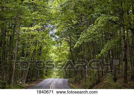 Muskoka, Ontario, Canada; Rural road View Large Photo Image Stock Image - Muskoka, Ontario, Canada; Rural road. Fotosearch