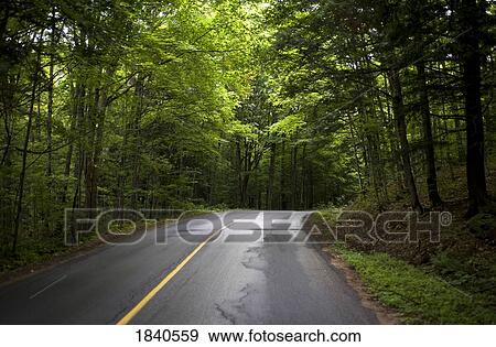 Muskoka, Ontario  View Large Photo Image Stock Photo - Muskoka, Ontario . Fotosearch