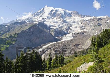Nisqually overlook in Mount Rainier National Park, Washington, USA View Large Photo Image Stock Photo - Nisqually overlook in Mount Rainier National Park, Washington, USA. Fotosearch