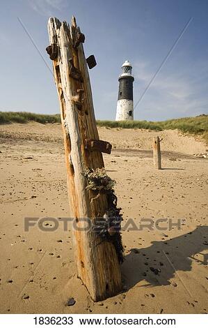 Stock Image - Old fence post and lighthouse, Humberside, England. Fotosearch