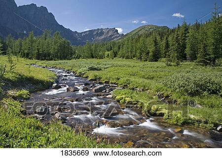 Panorama Ridge, Banff National Park, Alberta, Canada View Large Photo Image Stock Photo - Panorama Ridge, Banff National Park, Alberta, Canada. Fotosearch