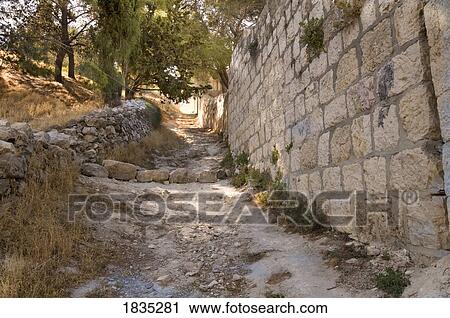 Stock Image - Pathway, Mount of Olives, Jerusalem, Israel. Fotosearch