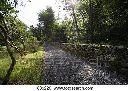 Pathway through trees, Gigha, Scotland View Large Photo Image Stock Image - Pathway through trees, Gigha, Scotland. Fotosearch