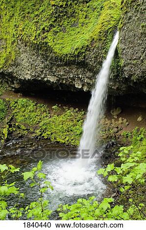 Stock Image - Ponytail Falls, Columbia River Gorge, Oregon, USA . Fotosearch