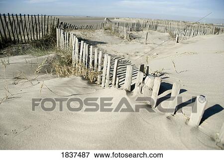 Stock Photo - Posts on sandy beach. Fotosearch