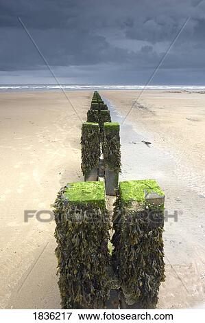 Stock Photo - Posts on the beach. Fotosearch