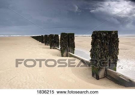 Posts on the beach View Large Photo Image Stock Photography - Posts on the beach. Fotosearch