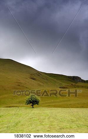 Stock Image - Rain clouds above fields, England. Fotosearch