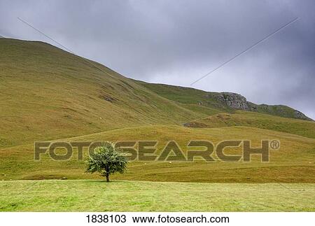 Rainclouds above rolling hills, England View Large Photo Image Stock Image - Rainclouds above rolling hills, England. Fotosearch