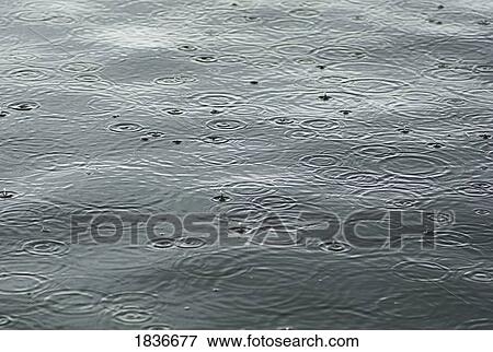 Stock Photo - Raining. Fotosearch