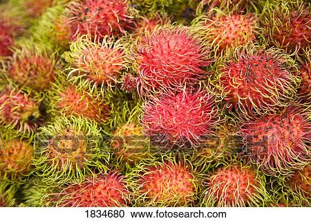 Stock Image - Rambutan, Central Market, Kuala Lumpur, Malaysia. Fotosearch