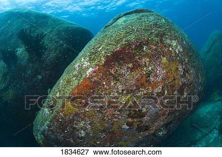Stock Photo - Rocks under water. Fotosearch