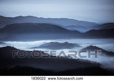 Rolling hills in the fog, Rwanda, Africa View Large Photo Image Stock Image - Rolling hills in the fog, Rwanda, Africa. Fotosearch