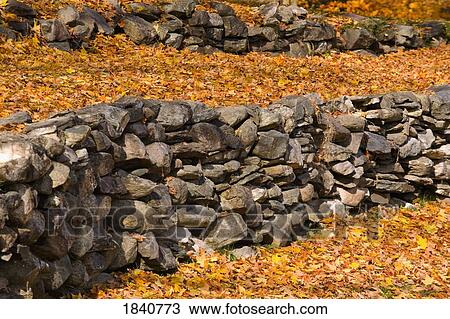 Stock Image - Rows of rocks and autumn leaves. Fotosearch