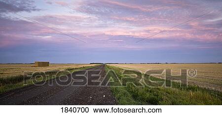 Rural road, Manitoba, Canada View Large Photo Image Stock Image - Rural road, Manitoba, Canada. Fotosearch