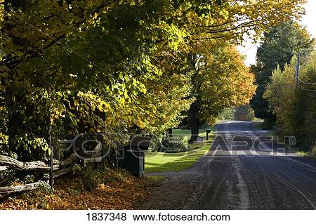 Rural road, Quebec, Canada View Large Photo Image Stock Photo - Rural road, Quebec, Canada. Fotosearch