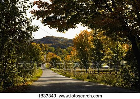 Rural road, Quebec, Canada View Large Photo Image Stock Photo - Rural road, Quebec, Canada. Fotosearch
