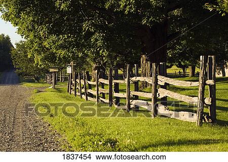 Picture - Rural road with wooden fence. Fotosearch
