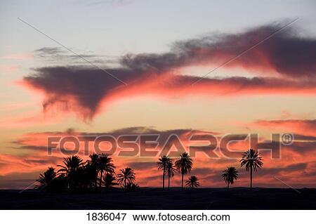 Sahara Desert, Douz, Tunisia View Large Photo Image Stock Photo - Sahara Desert, Douz, Tunisia. Fotosearch