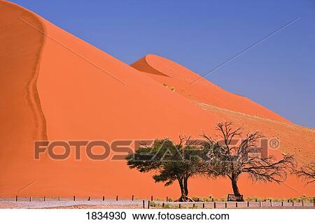 Stock Image - Sand dunes, Sossuvlei, Namib Desert, Namibia, Africa . Fotosearch