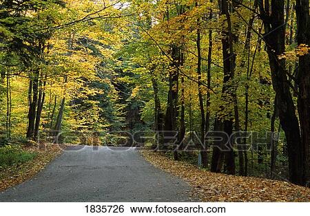 Scenic road, Eastern Townships, Quebec, Canada View Large Photo Image Stock Photograph - Scenic road, Eastern Townships, Quebec, Canada. Fotosearch