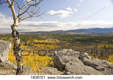 Stock Image - Scenic view of Bow Valley in autumn, Alberta, Canada . Fotosearch