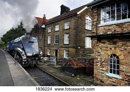 Picture - Sir Nigel Gresley steam locomotive, North Yorkshire, England, Europe . Fotosearch