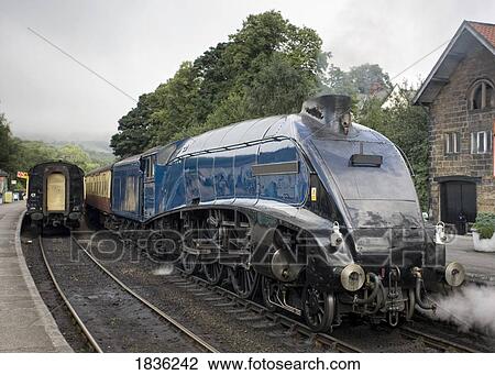 Stock Image - Sir Nigel Gresley steam locomotive, North Yorkshire, England . Fotosearch