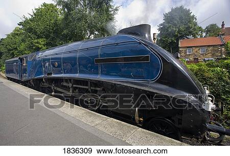 Stock Photo - Sir Nigel Gresley steam locomotive, North Yorkshire, England. Fotosearch