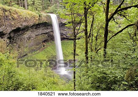 South Falls, Silver Falls State Park, Oregon, USA View Large Photo Image Stock Image - South Falls, Silver Falls State Park, Oregon, USA . Fotosearch