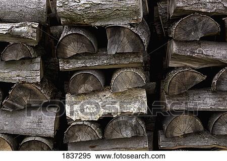 Stock Photography - Stacked logs. Fotosearch