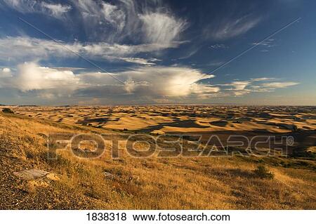 Steptoe Butte, Palouse, Washington, USA View Large Photo Image Stock Photo - Steptoe Butte, Palouse, Washington, USA. Fotosearch