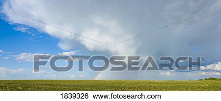 Stock Photograph - Storm cloud and rainbow over green crop. Fotosearch